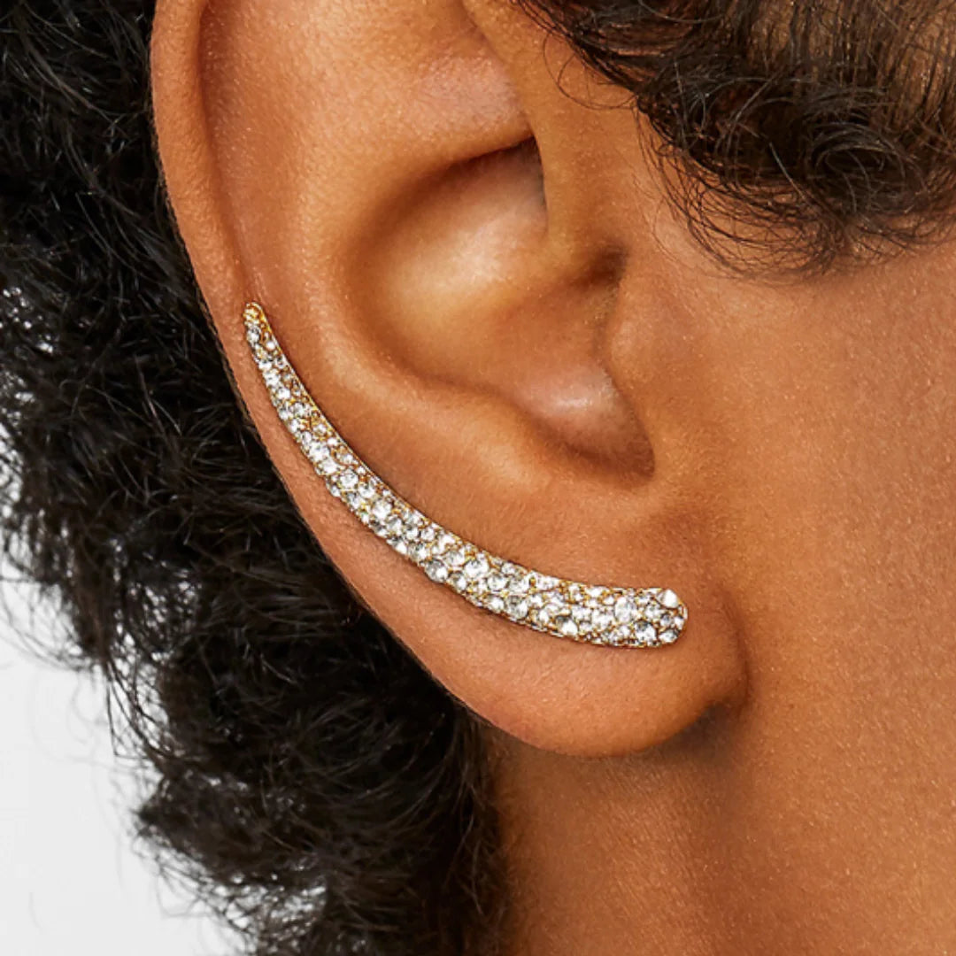 Zales 2 Carat Diamond Earrings: Aligned Earring for Modern Elegance smart-purchase